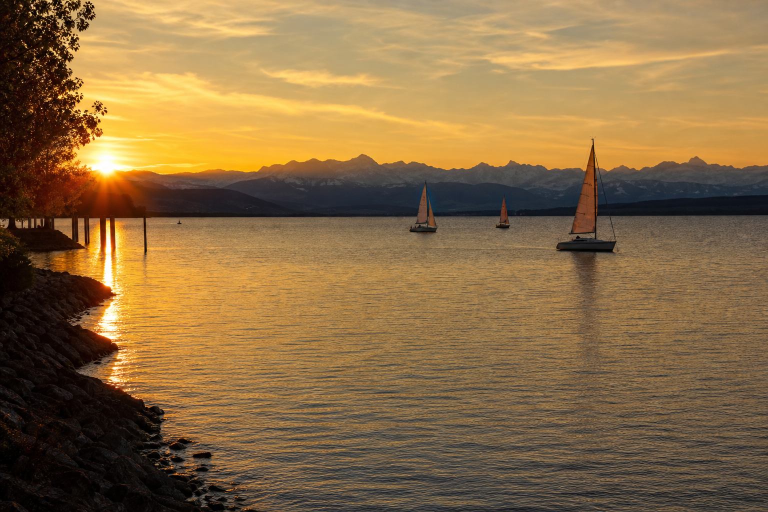 Bodensee bei Sonnenuntergang mit Segelbooten und Alpenpanorama im Hintergrund